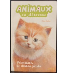 Frimousse, le chaton perdu...